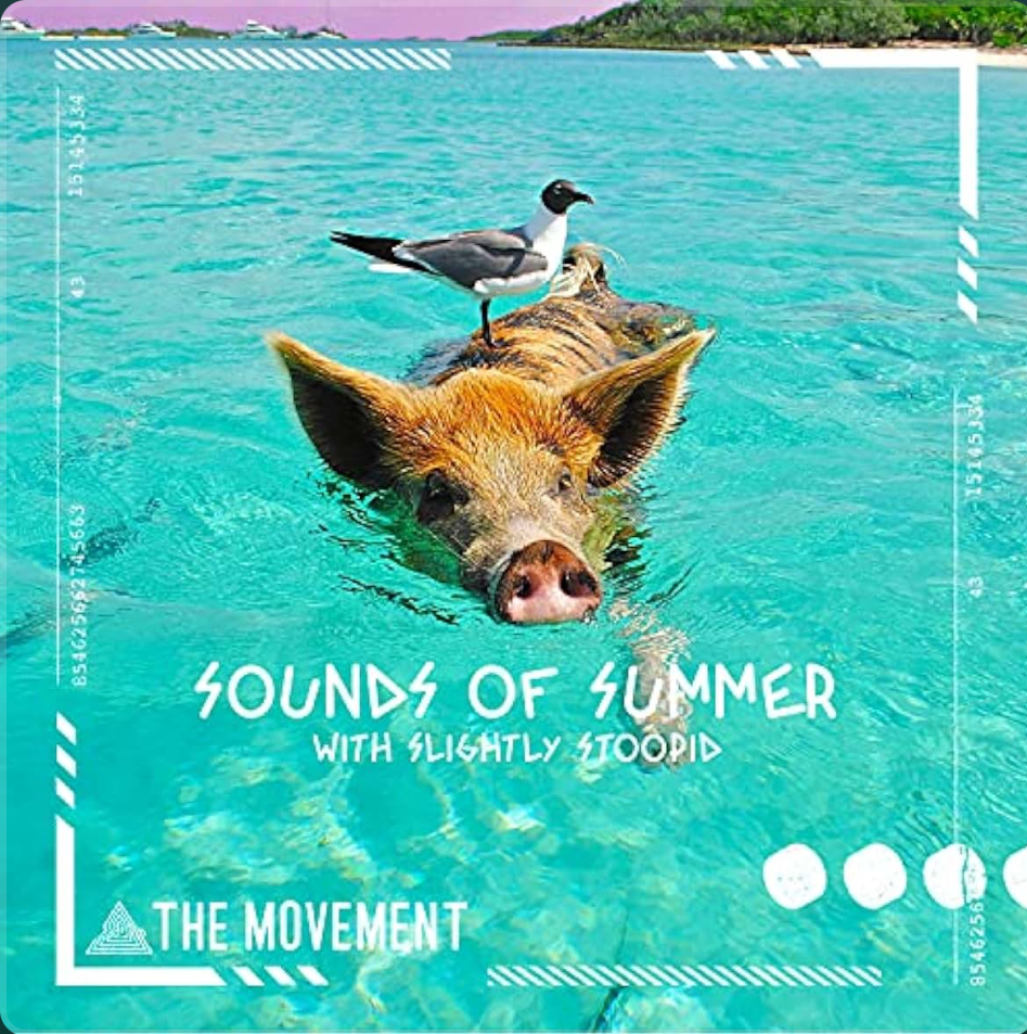 Sounds Of Summer